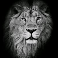 Tom Tate's profile image
