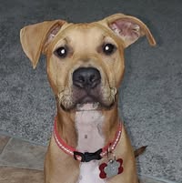 Gina Burken's profile image