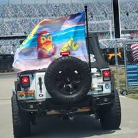 Debra Krause's profile image