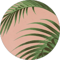 Profile Photo of Elisabeth Gonzalez