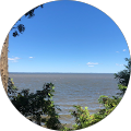 Church Family's Profile Image
