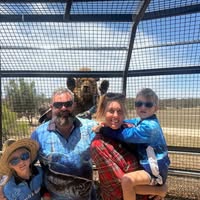 David King's profile image