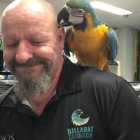 Deane Bird's profile image