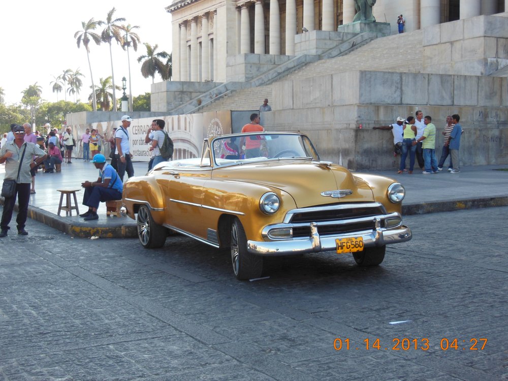 Minnie M.'s profile image