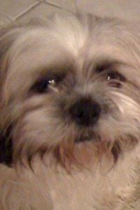 Pablo D.'s profile image