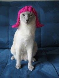 Jeff B.'s profile image