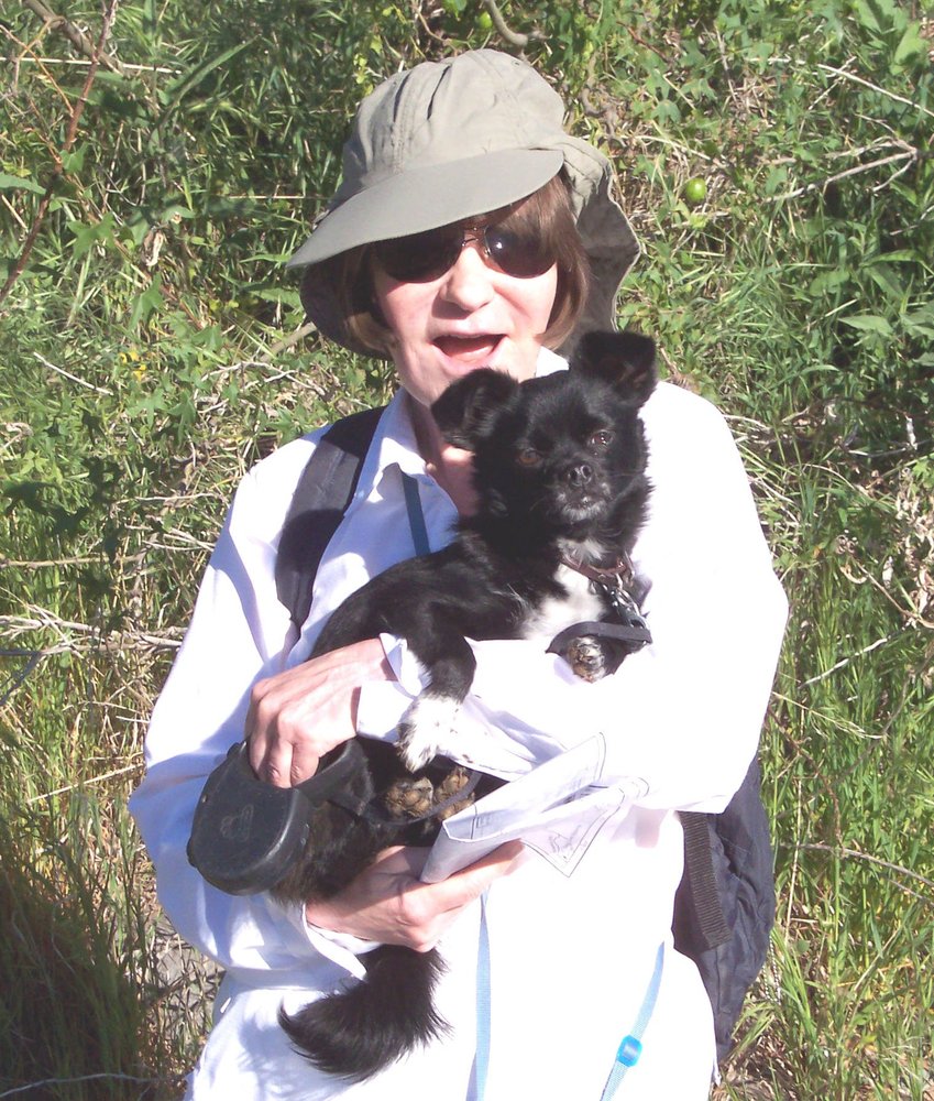 Jill D.'s profile image