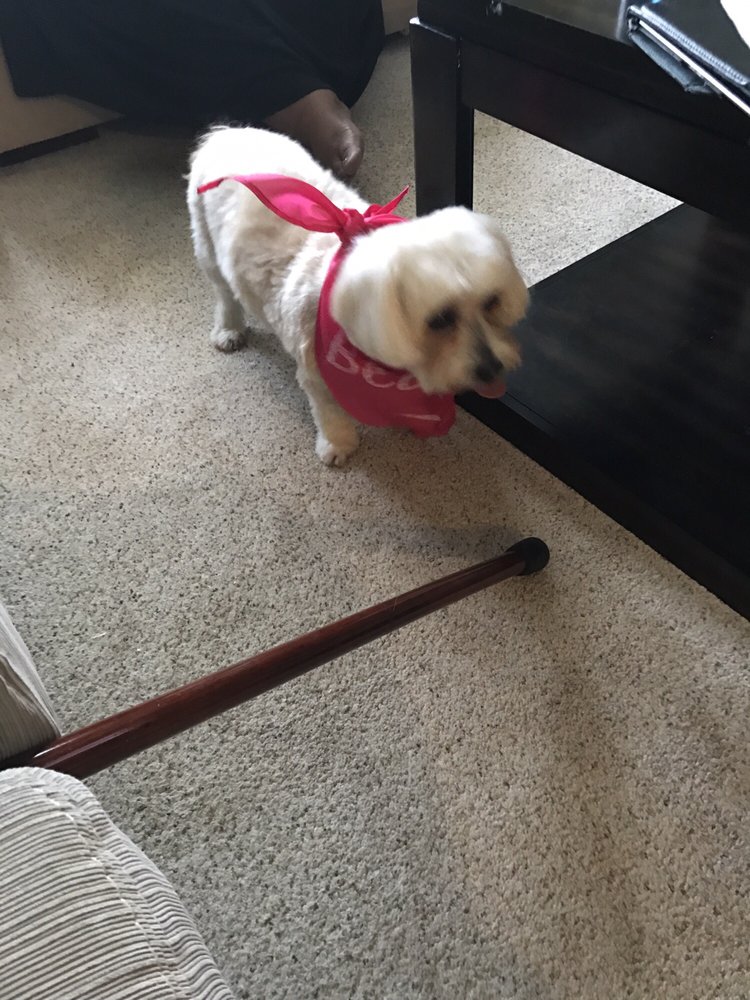 Carol A.'s profile image