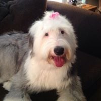 Wendy C.'s profile image