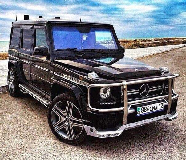 Adolfo M.'s profile image