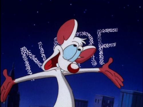 Rocky G.'s profile image