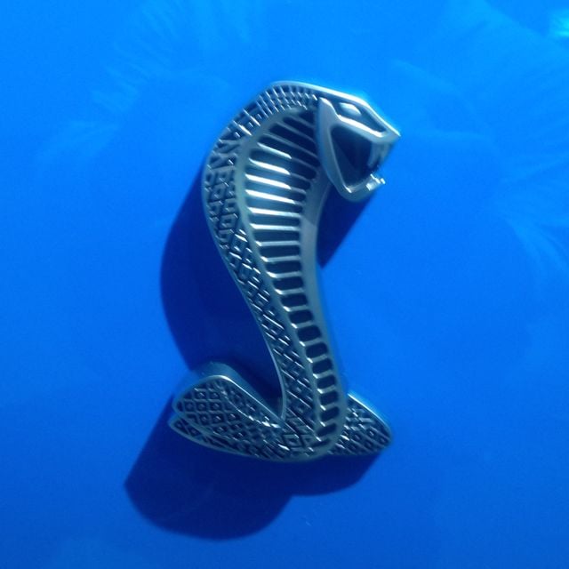 Douglas P.'s profile image