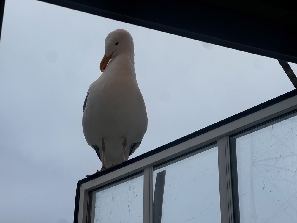 Eve M.'s profile image