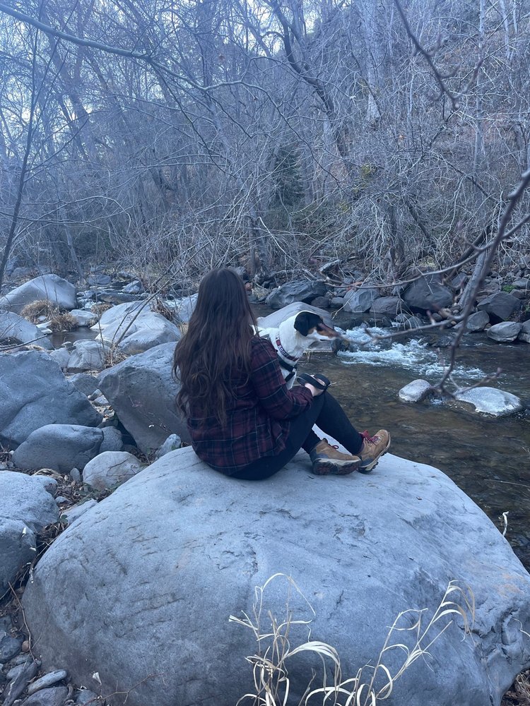 Marisol C.'s profile image