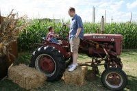 Cameron M.'s profile image