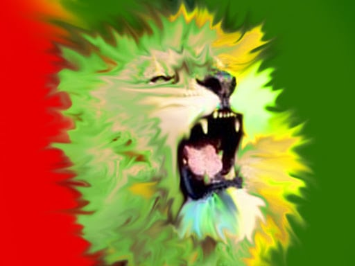 Dj T.'s profile image