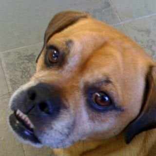 Ry K.'s profile image