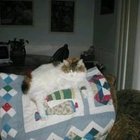 Angie J.'s profile image