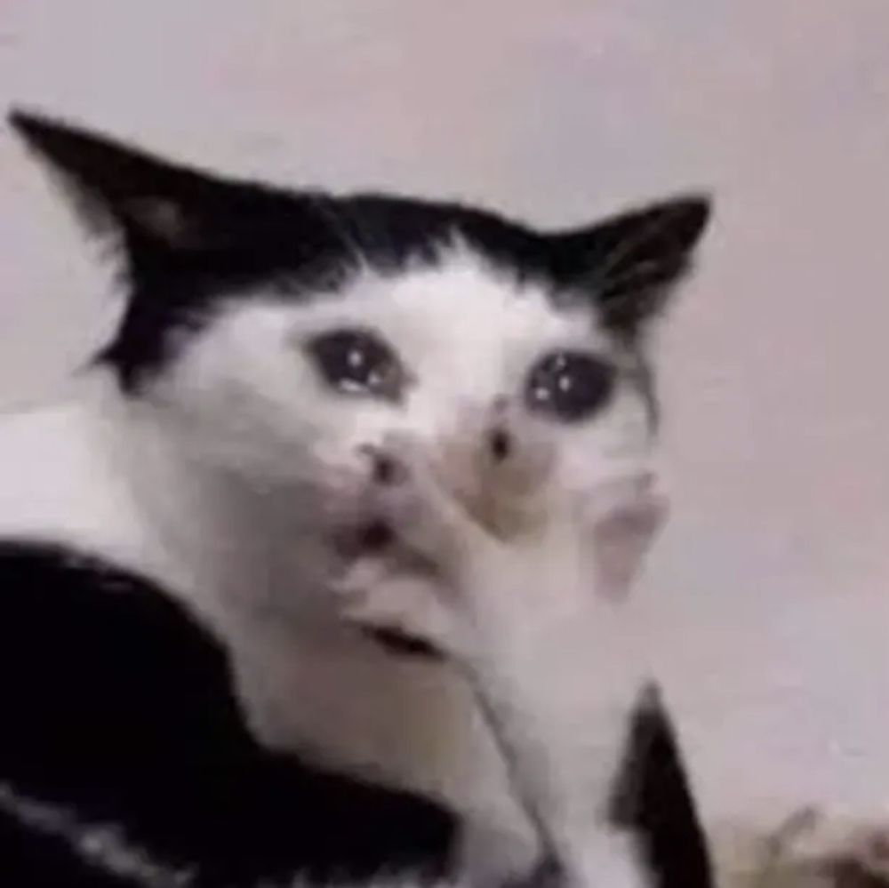 I'mJustHonest K.'s profile image