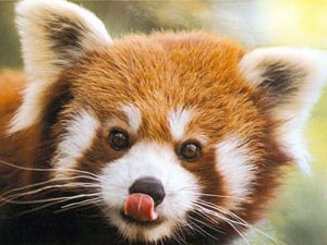 Michael M.'s profile image