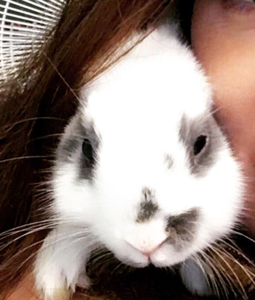 Lacey S.'s profile image