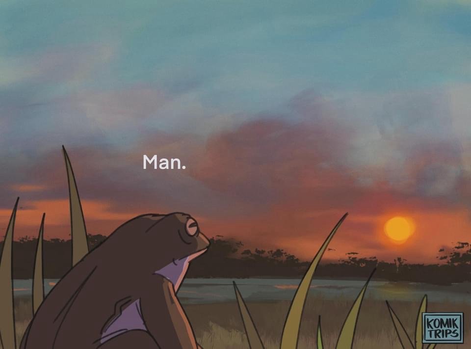 Stephen M.'s profile image