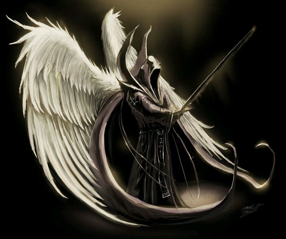 Angel G.'s profile image