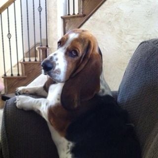 Jeff W.'s profile image