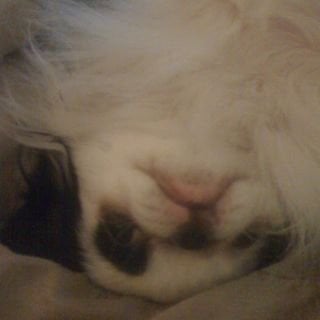 Amy S.'s profile image