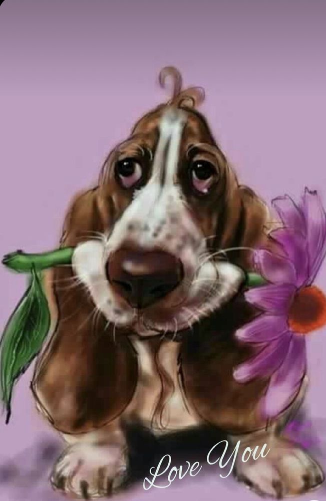 Patricia W.'s profile image