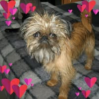 Stephanie Fox's profile image