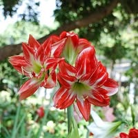 Helen May's profile image