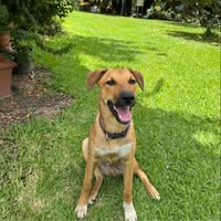 Allison Bugeja's profile image