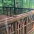 Jones home improvements's profile image