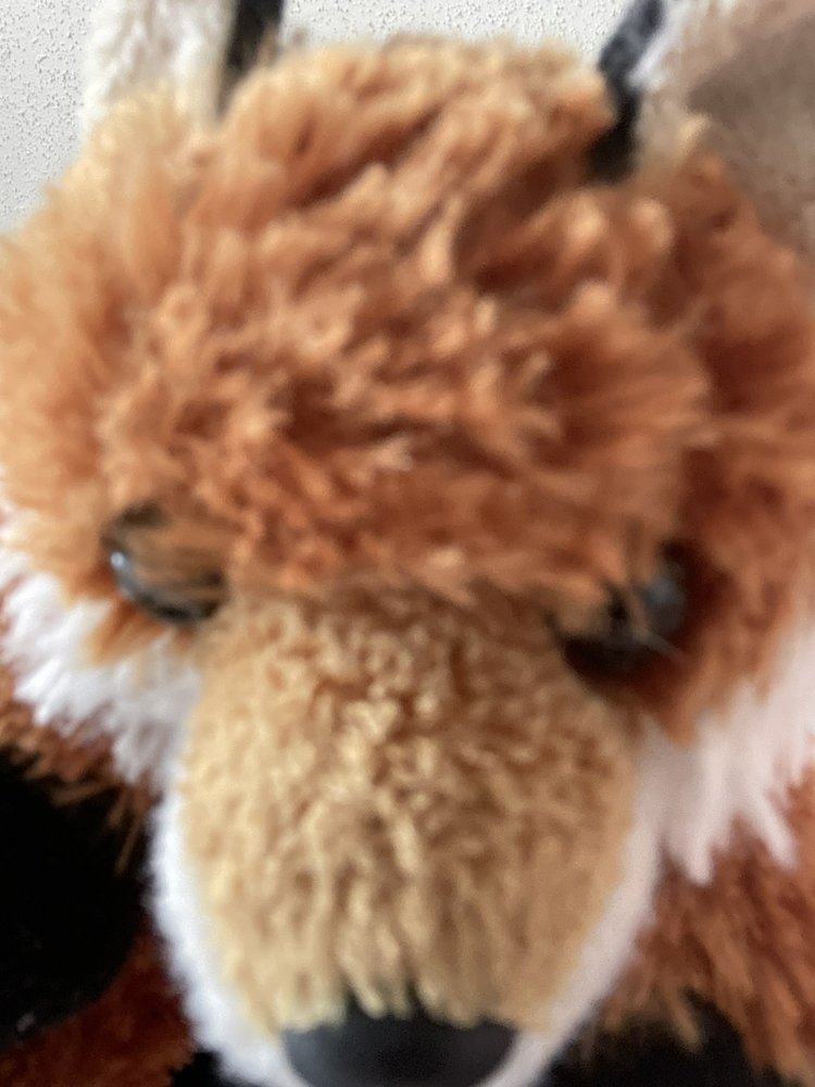 Dylan M.'s profile image