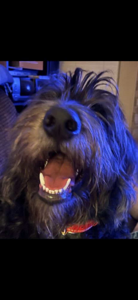 Angus H.'s profile image
