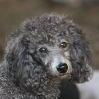 Cianna Jordan's profile image