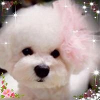 Cindy S.'s profile image