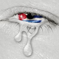 Amanda Berenguer's profile image