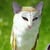 Joey Zarda's profile image