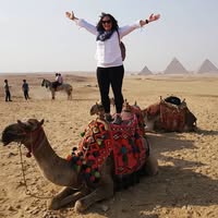 Lisa Johnston's profile image