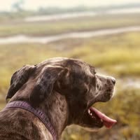 Ben Adams's profile image