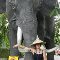 Merryn Weeding's profile image