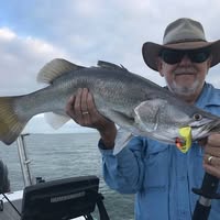 George McLean's profile image