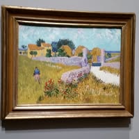 Sonia Elizabeth's profile image