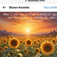 Sharon Knowles's profile image