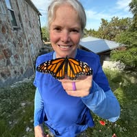Terri Morales's profile image