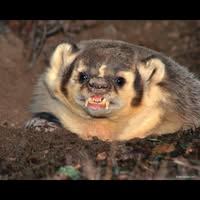 Chuck Burns's profile image