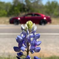Michael Jason Hall's profile image