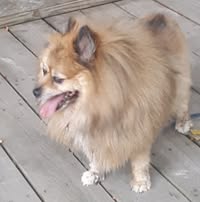 John Florian's profile image
